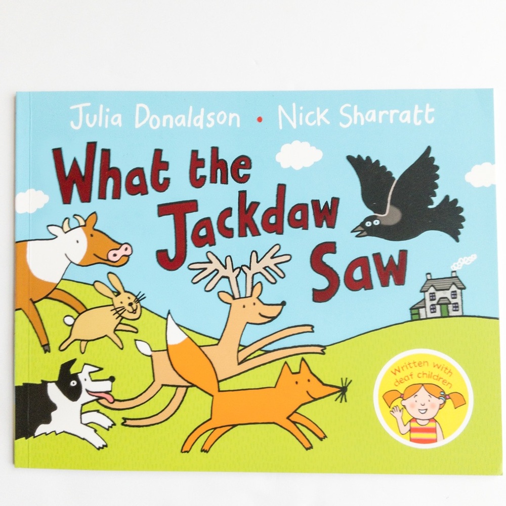 What the Jackdaw Saw Paperback book